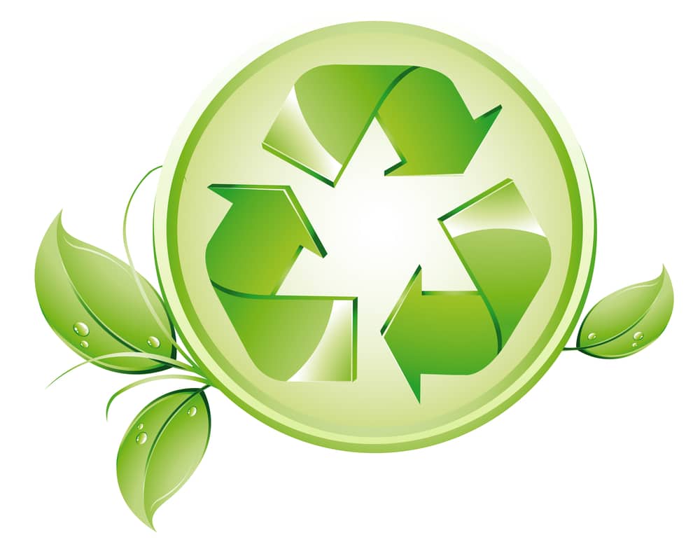 4 Reasons To Go Green This Holiday Season